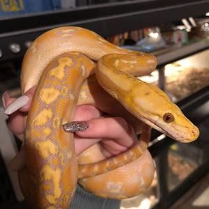 Meet your Posher, Caitlin